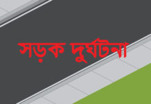 মাইক্রোবাসের ধাক্কায়