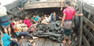 মেঘনা নদী