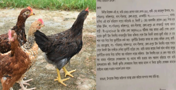 পোষা মুরগীকে ধর্ষণ! থানায় প্রতিবেশীর বি’রুদ্ধে অভিযোগ পোষা মুরগী