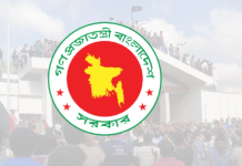 নতুন বাংলাদেশ দিবস