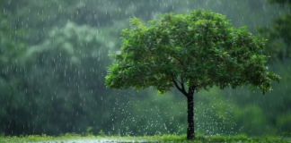 ঈদের দিন