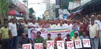 আয়োজনে স্বেচ্ছাসেবক