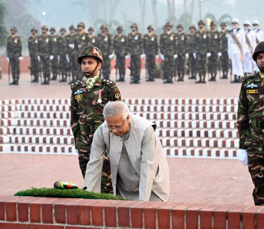 বিজয় দিবস