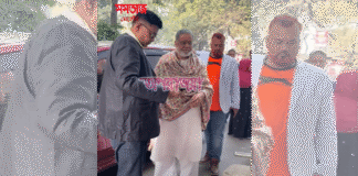 নির্বাচন