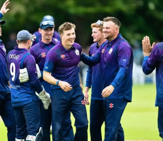 টি-টোয়েন্টি