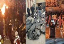 নিহতের সংখ্যা