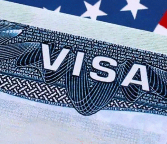 অভিবাসী ভিসা