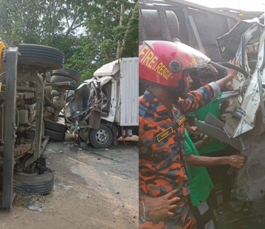 ট্রাক ও পিকআপ মুখোমুখি সংঘর্ষে ১ জন নিহত ট্রাক