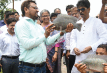 বিজ্ঞানীদের মৌলিক গবেষণায় আত্মনিয়োগ করতে হবে: মৎস্য ও প্রাণিসম্পদ এবং কৃষিমন্ত্রী