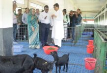 আগামীতে গবেষণা খাতে বরাদ্দ বৃদ্ধি করা হবে —-মৎস্য ও প্রাণিসম্পদ এবং কৃষিমন্ত্রী গবেষণা খাতে