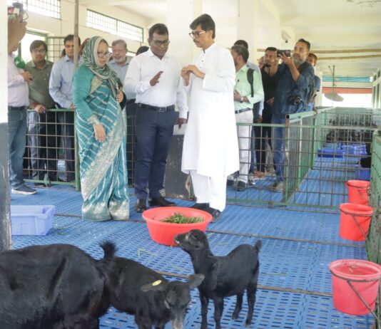 গবেষণা খাতে
