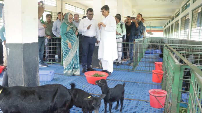 আগামীতে গবেষণা খাতে বরাদ্দ বৃদ্ধি করা হবে ----মৎস্য ও প্রাণিসম্পদ এবং কৃষিমন্ত্রী গবেষণা খাতে
