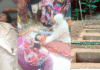 নদীতে গোসল করতে গিয়ে ৪ মাদ্রাসার ছাত্রীর মৃত্যু নদীতে গোসল করতে গিয়ে ৪ মাদ্রাসার ছাত্রীর মৃত্যু