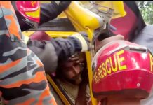 মুকসুদপুরে নিয়ন্ত্রণ হারিয়ে গাছের সঙ্গে ট্রাকের ধাক্কা, নিহত ১