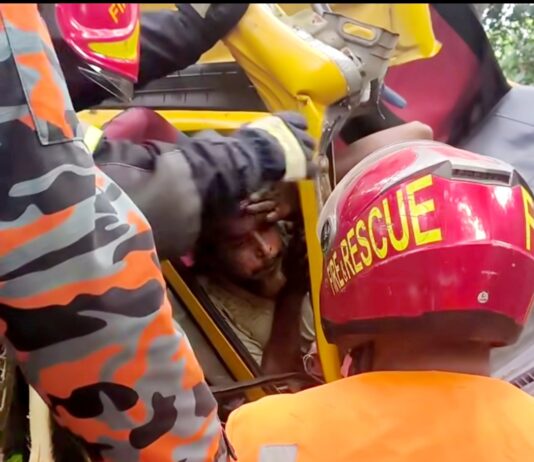 মুকসুদপুরে নিয়ন্ত্রণ হারিয়ে গাছের সঙ্গে ট্রাকের ধাক্কা, নিহত ১
